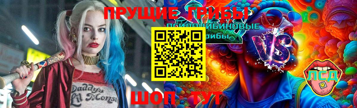 Партизанск  продажа наркотиков  Вход с VPN  Галлюциногенные грибы Cubensis  Псилоцибиновые грибы прущие грибы 
